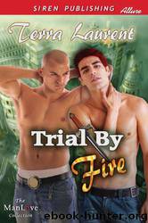 Trial by Fire by Terra Laurent