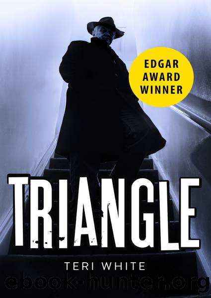 Triangle by Teri White