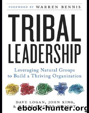 Tribal Leadership by Dave Logan
