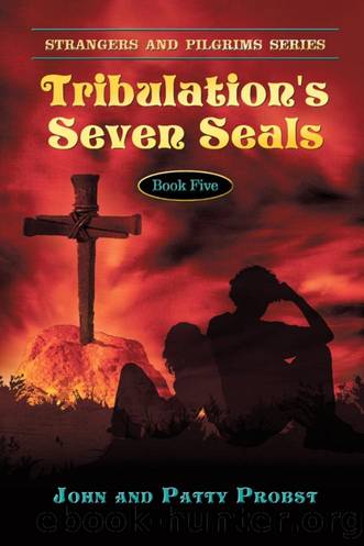Tribulation's Seven Seals by John Probst