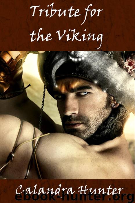 Tribute for the Viking (reluctant gay erotica) by Calandra Hunter