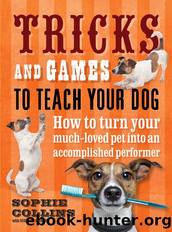 Tricks and Games to Teach Your Dog by Sophie Collins Suellen Dainty