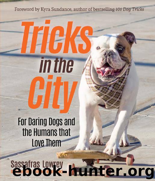 Tricks in the City by Sassafras Lowrey