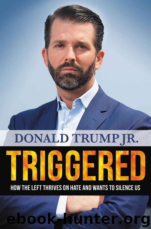 Triggered by Donald Trump Jr