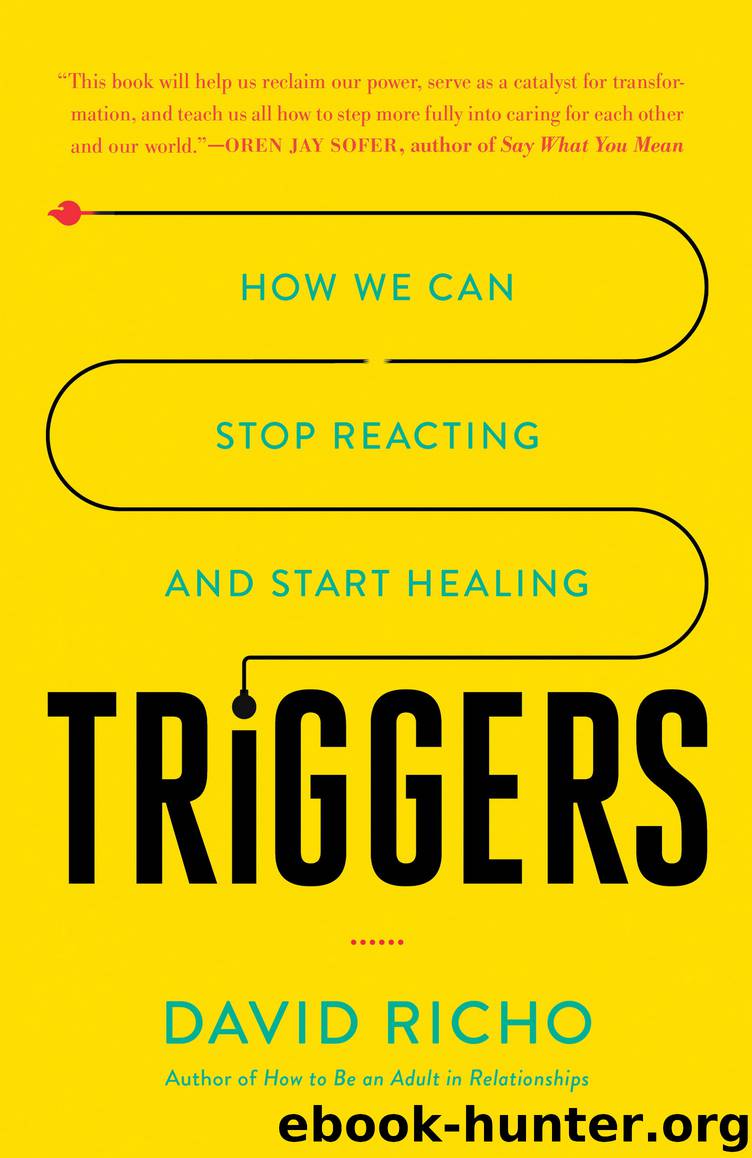 Triggers by David Richo