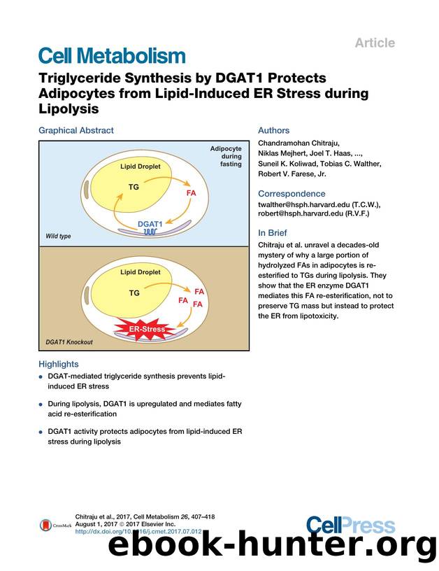 Triglyceride Synthesis by DGAT1 Protects Adipocytes from Lipid-Induced ER Stress during Lipolysis by unknow