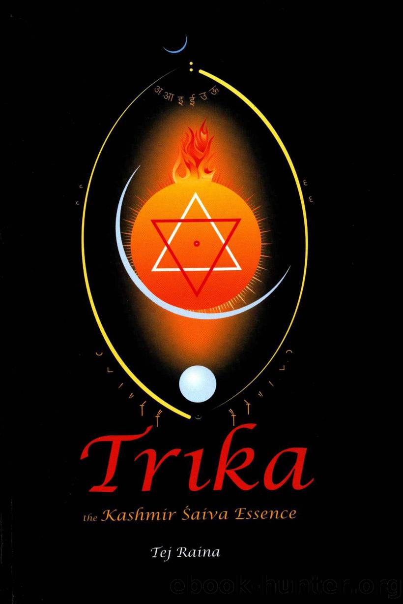 Trika, The Kashmir Shaiva Essence by Tej Raina