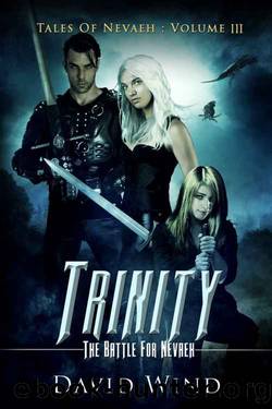 Trinity: The Battle For Navaeh (Tales Of Nevaeh Book 3) by David Wind