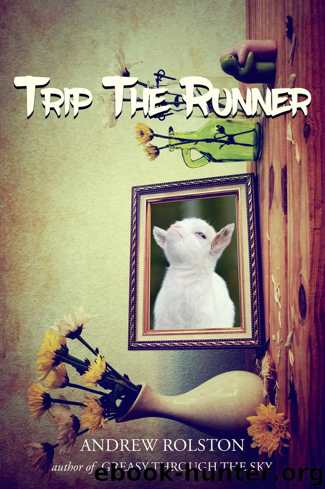 Trip the Runner by Andrew Rolston