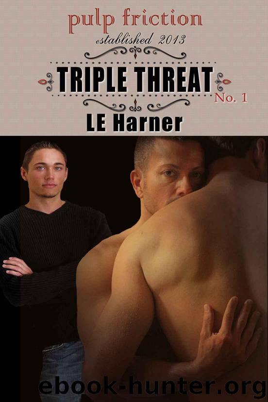Triple Threat (Triple Threat, Book 1) by Harner L.E. & Harner Laura
