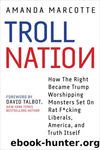 Troll Nation by Amanda Marcotte