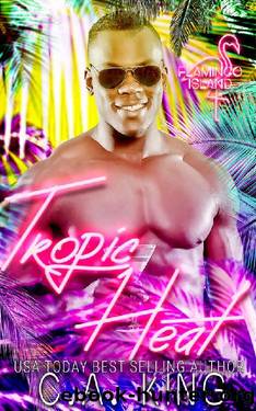 Tropic Heat (Flamingo Island) by C.A. King
