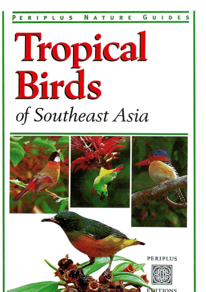 Tropical Birds of Southeast Asia by Morten Strange