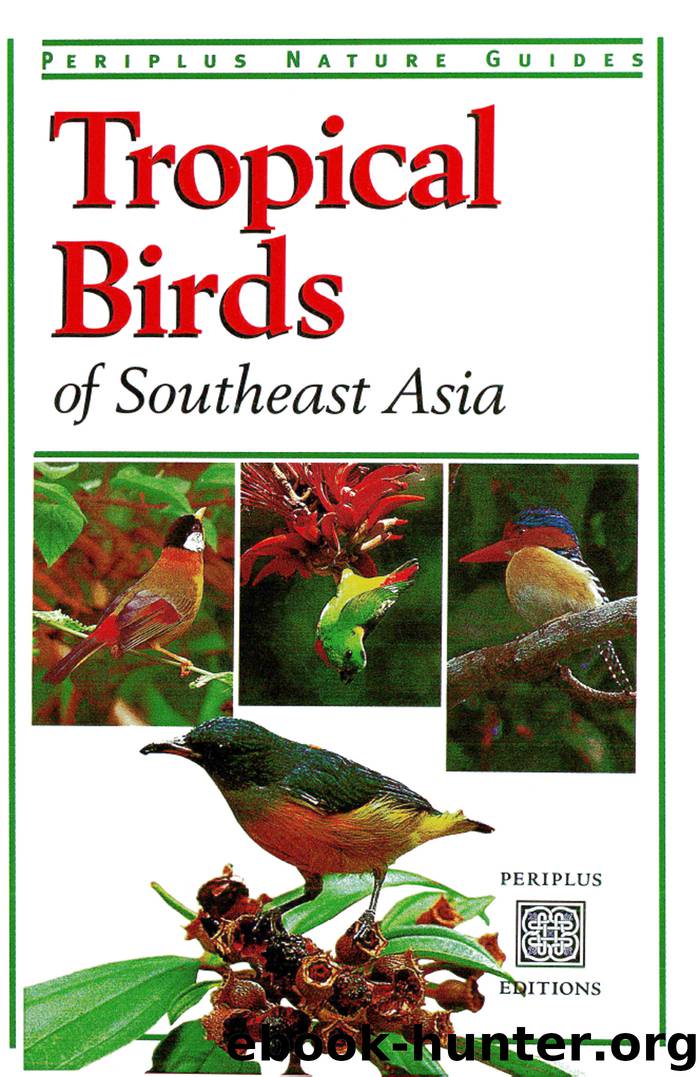 Tropical Birds of Southeast Asia by Strange Morten;