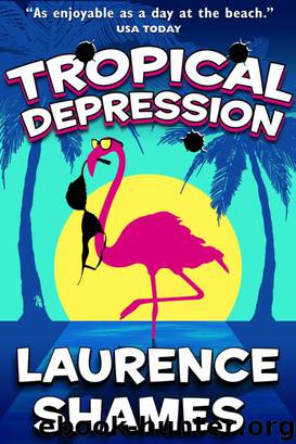 Tropical Depression by Laurence Shames