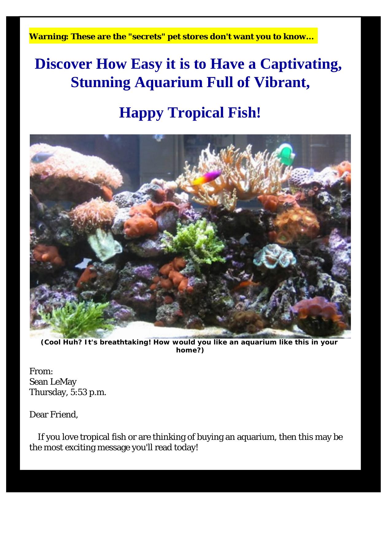 Tropical Fish Secrets. by Best of Kuszter's Collection