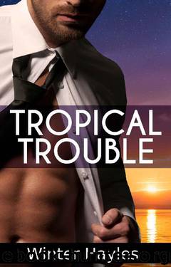 Tropical Trouble - A Bad Boy Billionaire Romance by Winter Hayles