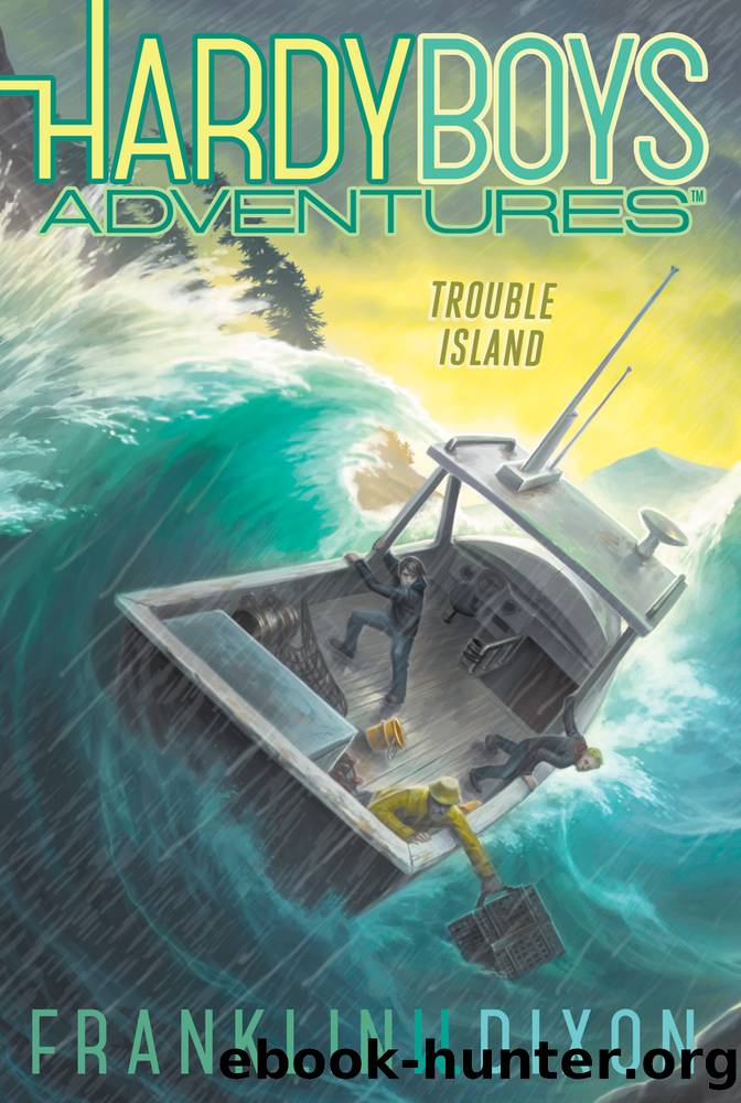 Trouble Island by Franklin W. Dixon