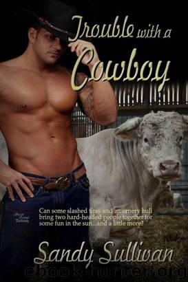 Trouble With a Cowboy by Sullivan Sandy