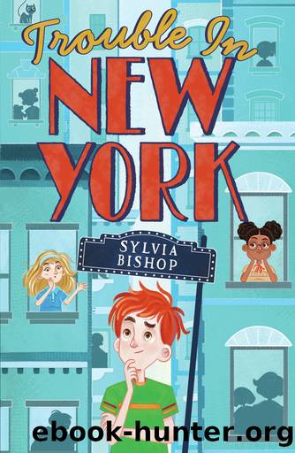 Trouble in New York by Sylvia Bishop