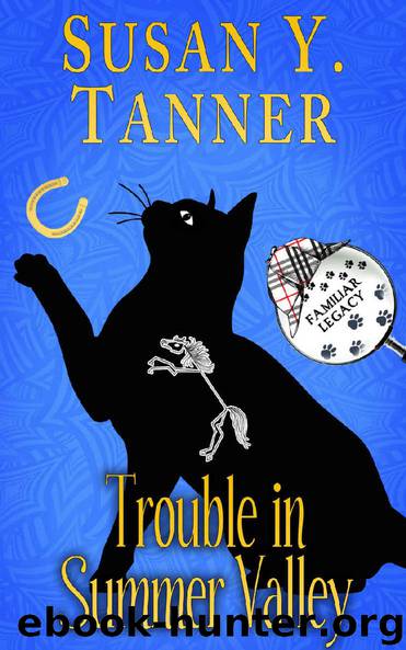 Trouble in Summer Valley by Susan Y. Tanner