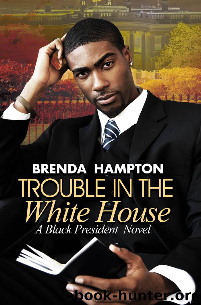 Trouble in the White House by Brenda Hampton