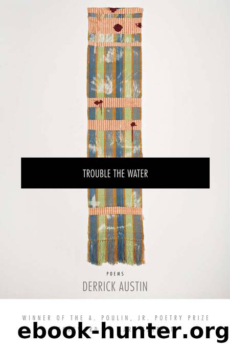 Trouble the Water by Derrick Austin