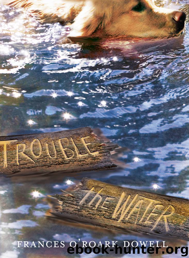 Trouble the Water by Frances O'Roark Dowell