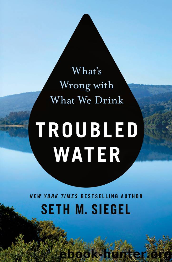 Troubled Water by Seth M. Siegel