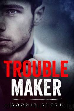 Troublemaker by Sophie Stern