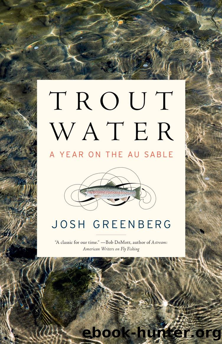 Trout Water by Josh Greenberg