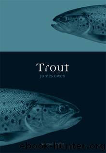 Trout by James Owen