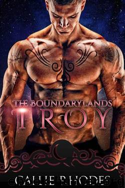 Troy (The Boundarylands Omegaverse Book 5) by Callie Rhodes