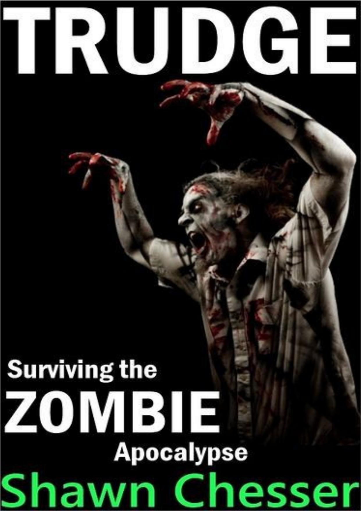 shawn chesser abyss: surviving the zombie apocalypse