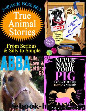 True Animal Stories ~ From Serious &amp;amp; Silly to Simple &amp;gt; 3 Book Box Set by Ann Patty