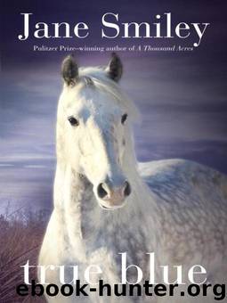 True Blue by Jane Smiley