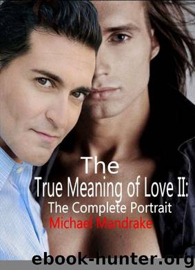 True Meaning of Love Two: The Complete Portrait by Michael Mandrake