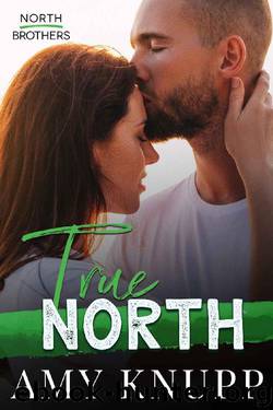 True North (North Brothers Book 1) by Amy Knupp