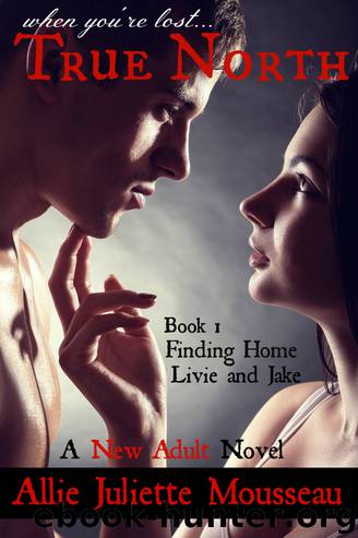 True North by Allie Juliette Mousseau