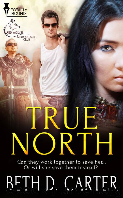 True North by Beth D. Carter