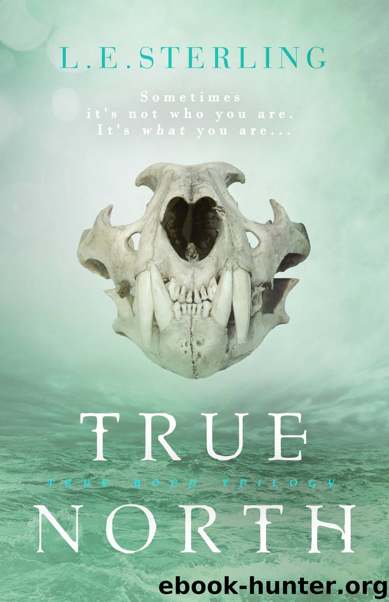True North by L.E. Sterling