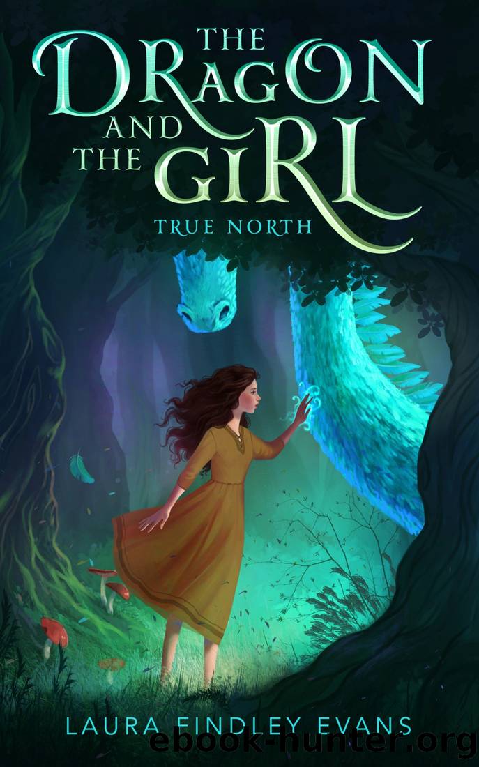 True North by Laura Findley Evans