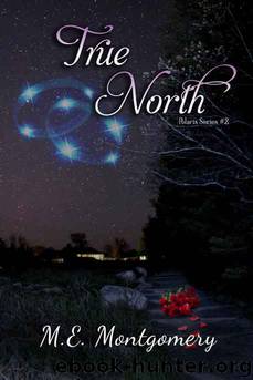 True North by M.E. Montgomery