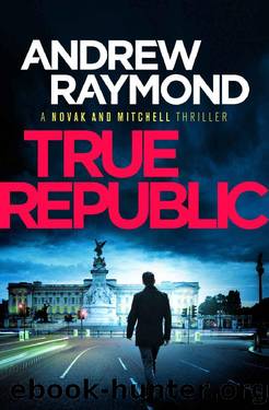 True Republic (Novak and Mitchell Book 4) by Andrew Raymond