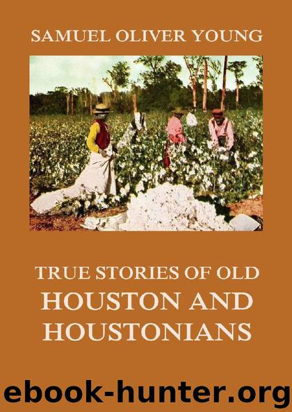 True Stories of Old Houston and Houstonians by Samuel Oliver Young