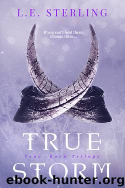 True Storm by L. E. Sterling