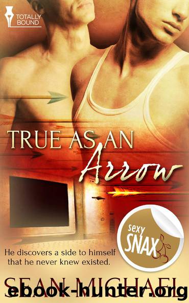 True as an Arrow by Sean Michael