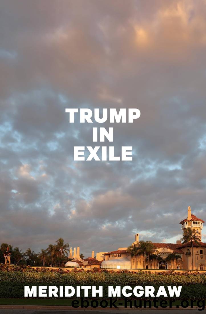 Trump in Exile by Meridith McGraw