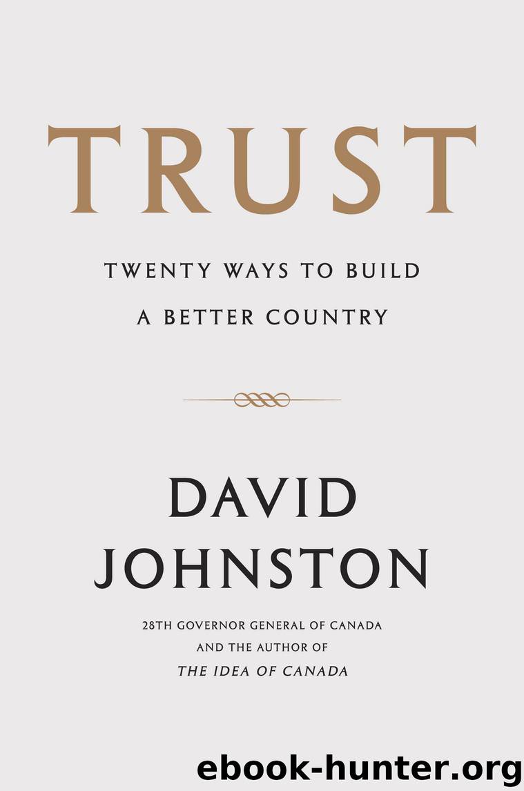 Trust by David Johnston