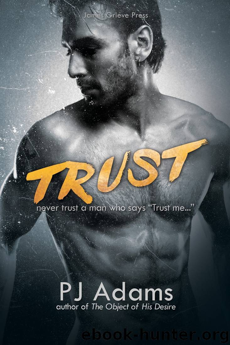 Trust: A London Gangland Romantic Suspense Novel by Pj Adams